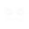 VX STREET logo